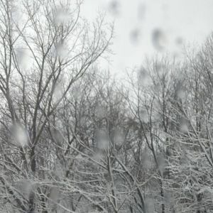 Meet your Posher, Al